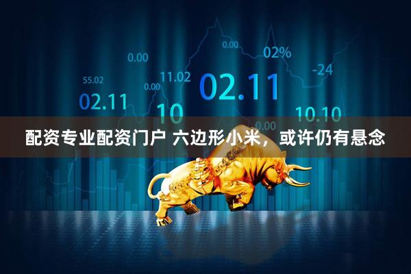 配资专业配资门户 六边形小米，或许仍有悬念