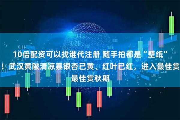 10倍配资可以找谁代注册 随手拍都是“壁纸”风光！武汉黄陂清凉寨银杏已黄、红叶已红，进入最佳赏秋期