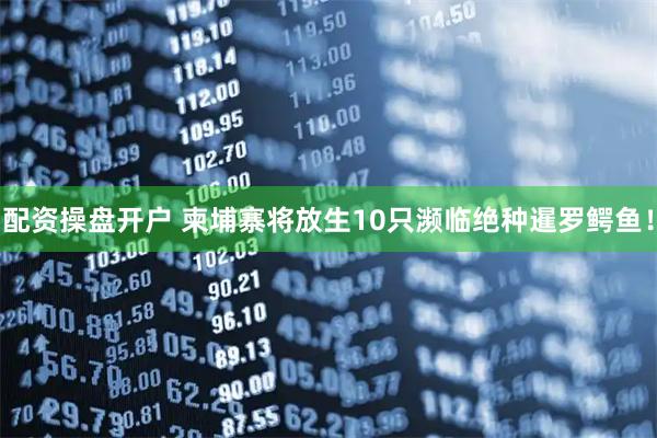 配资操盘开户 柬埔寨将放生10只濒临绝种暹罗鳄鱼！