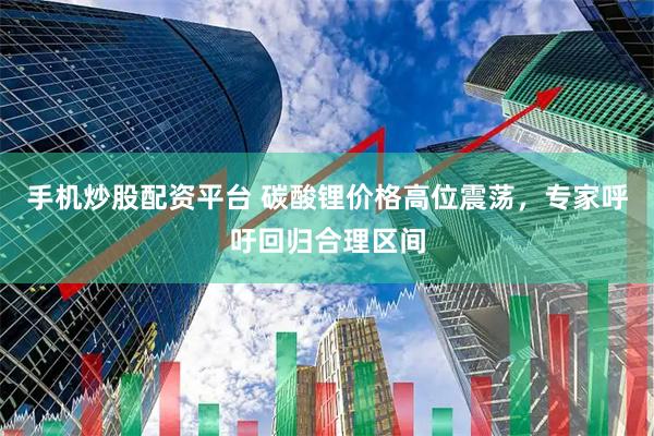 手机炒股配资平台 碳酸锂价格高位震荡，专家呼吁回归合理区间